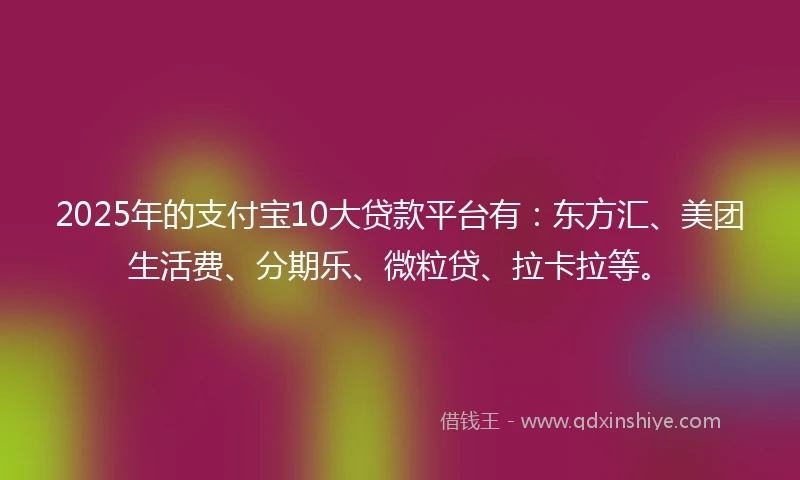 2025年的支付宝10大贷款平台有：东方汇、美团生活费、分期乐、微粒贷、拉卡拉等。