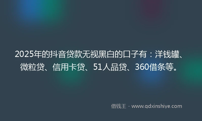 2025年的抖音贷款无视黑白的口子有：洋钱罐、微粒贷、信用卡贷、51人品贷、360借条等。