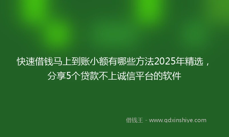 快速借钱马上到账小额有哪些方法2025年精选，分享5个贷款不上诚信平台的软件