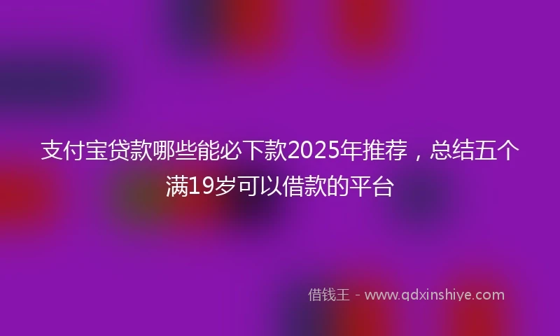 支付宝贷款哪些能必下款2025年推荐，总结五个满19岁可以借款的平台
