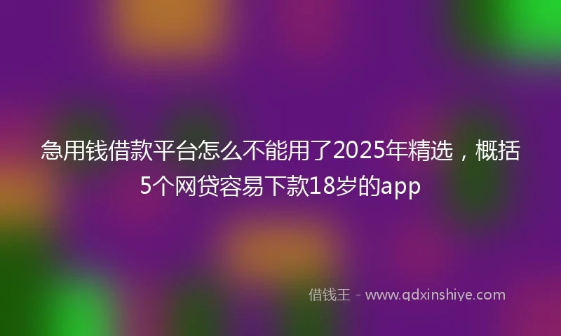 急用钱借款平台怎么不能用了2025年精选，概括5个网贷容易下款18岁的app