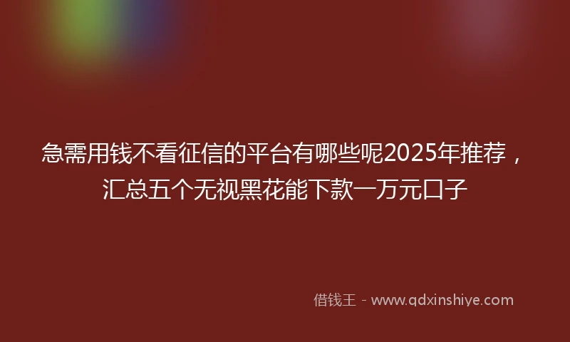 急需用钱不看征信的平台有哪些呢2025年推荐，汇总五个无视黑花能下款一万元口子