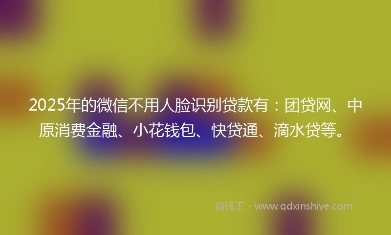 2025年的微信不用人脸识别贷款有：团贷网、中原消费金融、小花钱包、快贷通、滴水贷等。