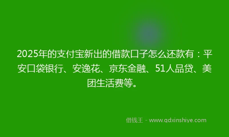 2025年的支付宝新出的借款口子怎么还款有：平安口袋银行、安逸花、京东金融、51人品贷、美团生活费等。
