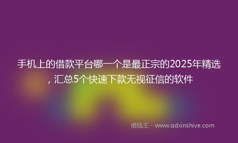 手机上的借款平台哪一个是最正宗的2025年精选，汇总5个快速下款无视征信的软件