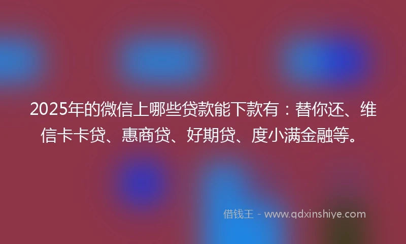 2025年的微信上哪些贷款能下款有：替你还、维信卡卡贷、惠商贷、好期贷、度小满金融等。