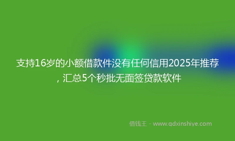 支持16岁的小额借款件没有任何信用2025年推荐，汇总5个秒批无面签贷款软件