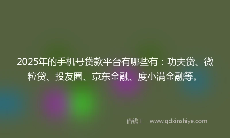 2025年的手机号贷款平台有哪些有：功夫贷、微粒贷、投友圈、京东金融、度小满金融等。