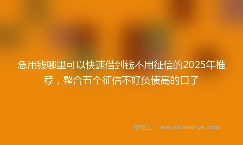 急用钱哪里可以快速借到钱不用征信的2025年推荐，整合五个征信不好负债高的口子