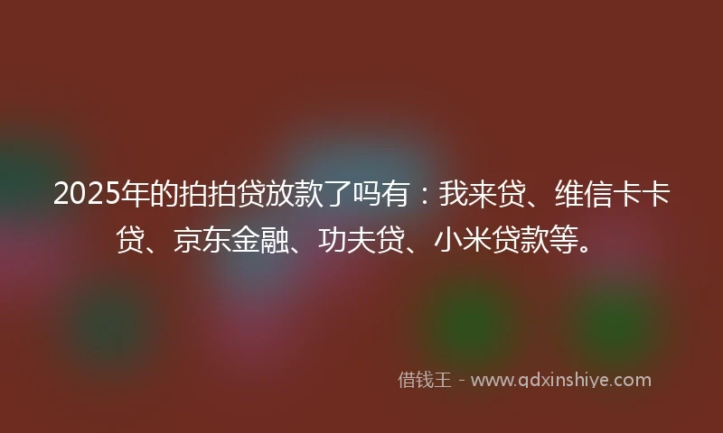 2025年的拍拍贷放款了吗有：我来贷、维信卡卡贷、京东金融、功夫贷、小米贷款等。