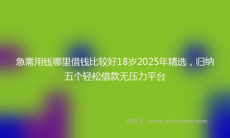 急需用钱哪里借钱比较好18岁2025年精选，归纳五个轻松借款无压力平台
