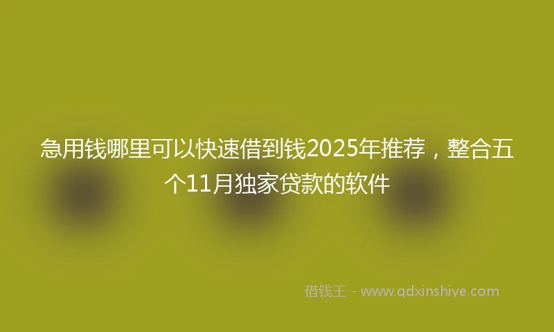 急用钱哪里可以快速借到钱2025年推荐，整合五个11月独家贷款的软件