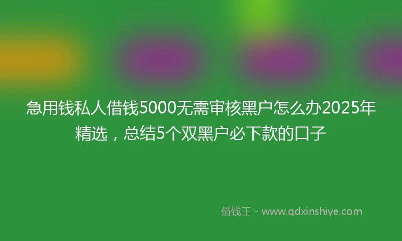 急用钱私人借钱5000无需审核黑户怎么办2025年精选，总结5个双黑户必下款的口子