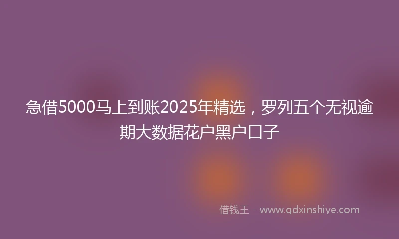 急借5000马上到账2025年精选，罗列五个无视逾期大数据花户黑户口子