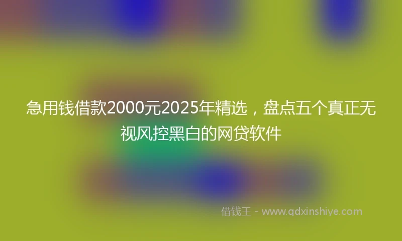 急用钱借款2000元2025年精选，盘点五个真正无视风控黑白的网贷软件