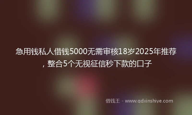 急用钱私人借钱5000无需审核18岁2025年推荐，整合5个无视征信秒下款的口子