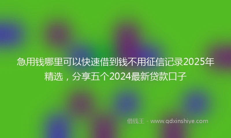 急用钱哪里可以快速借到钱不用征信记录2025年精选，分享五个2024最新贷款口子