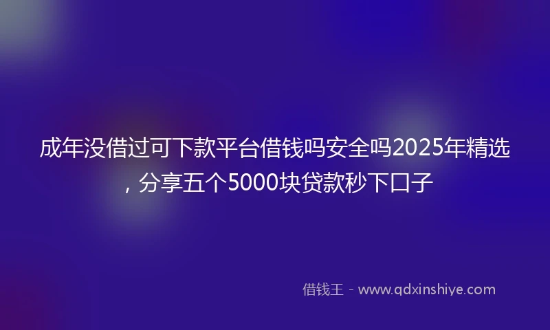 成年没借过可下款平台借钱吗安全吗2025年精选，分享五个5000块贷款秒下口子