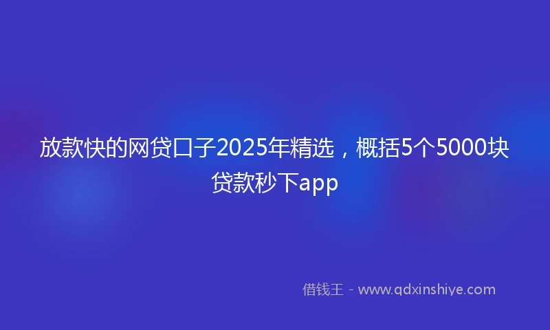 放款快的网贷口子2025年精选，概括5个5000块贷款秒下app