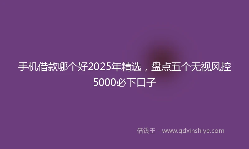 手机借款哪个好2025年精选，盘点五个无视风控5000必下口子