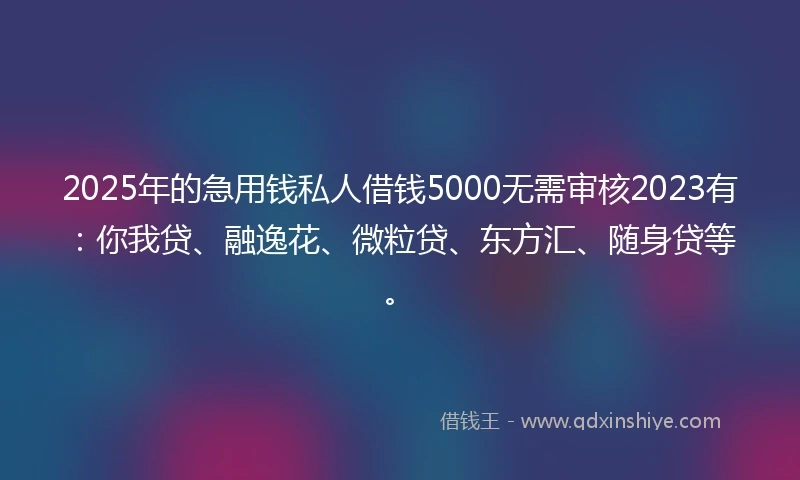 2025年的急用钱私人借钱5000无需审核2023有：你我贷、融逸花、微粒贷、东方汇、随身贷等。