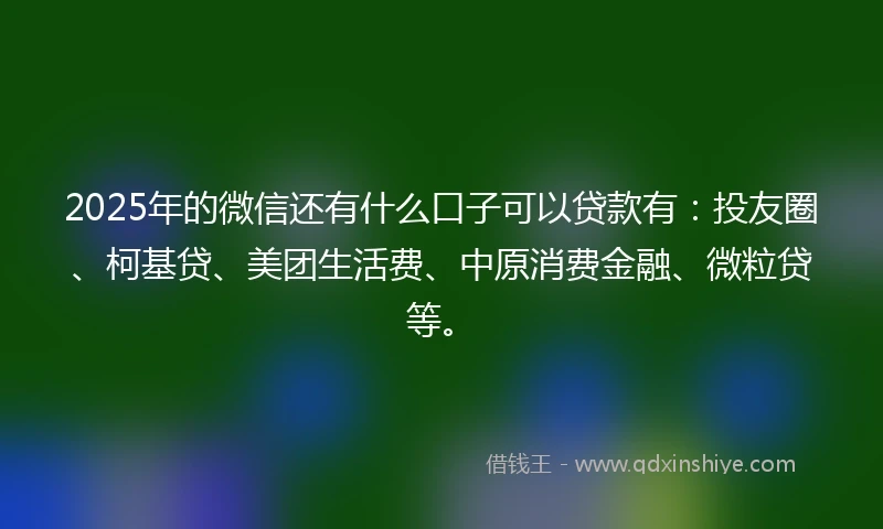 2025年的微信还有什么口子可以贷款有：投友圈、柯基贷、美团生活费、中原消费金融、微粒贷等。