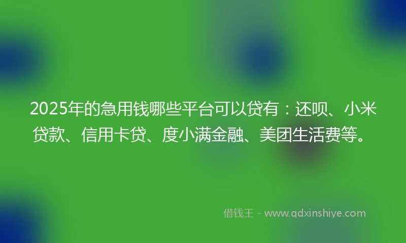 2025年的急用钱哪些平台可以贷有：还呗、小米贷款、信用卡贷、度小满金融、美团生活费等。