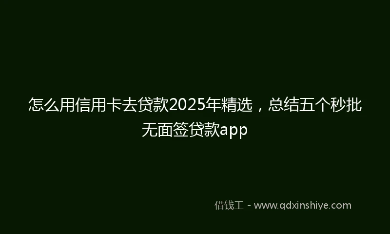 怎么用信用卡去贷款2025年精选，总结五个秒批无面签贷款app