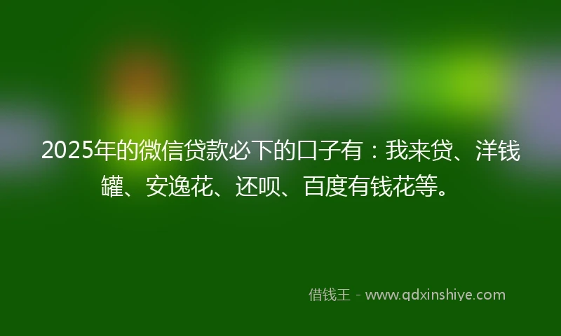 2025年的微信贷款必下的口子有：我来贷、洋钱罐、安逸花、还呗、百度有钱花等。
