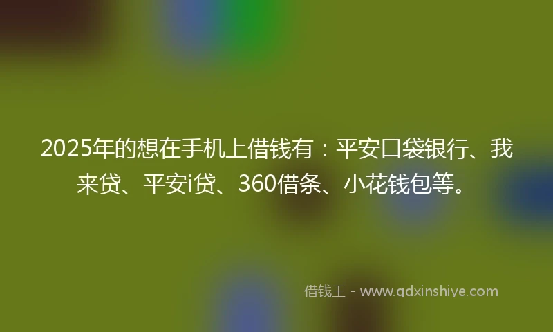 2025年的想在手机上借钱有：平安口袋银行、我来贷、平安i贷、360借条、小花钱包等。