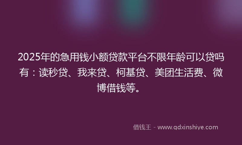2025年的急用钱小额贷款平台不限年龄可以贷吗有：读秒贷、我来贷、柯基贷、美团生活费、微博借钱等。