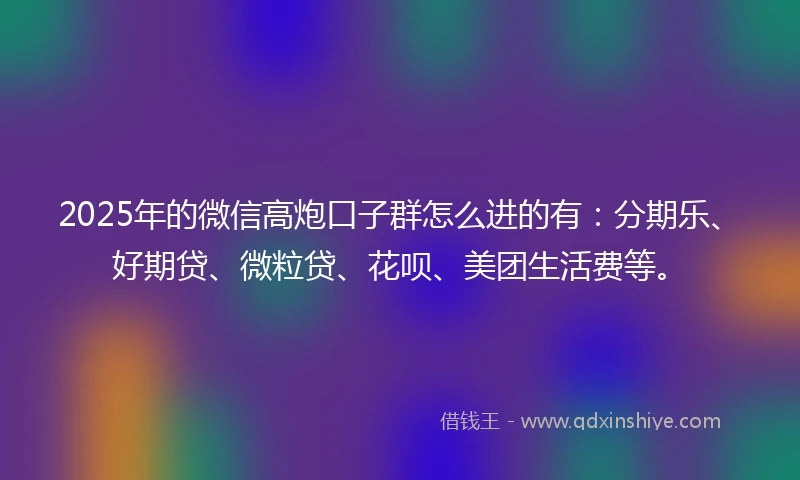 2025年的微信高炮口子群怎么进的有：分期乐、好期贷、微粒贷、花呗、美团生活费等。