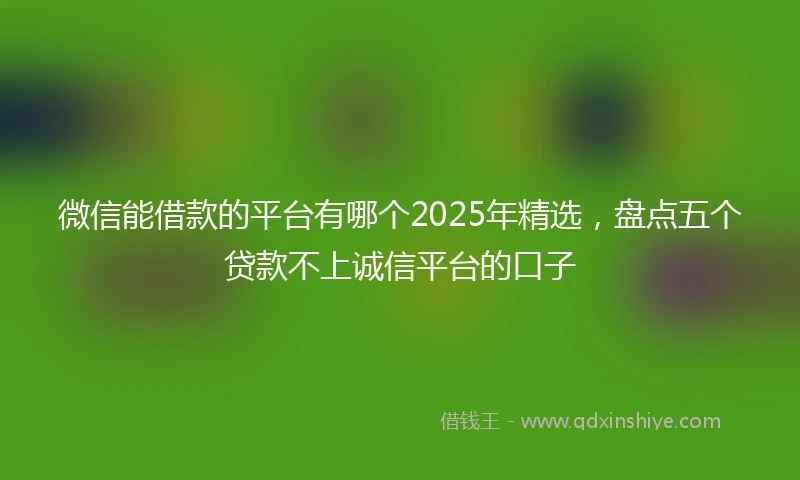 微信能借款的平台有哪个2025年精选，盘点五个贷款不上诚信平台的口子
