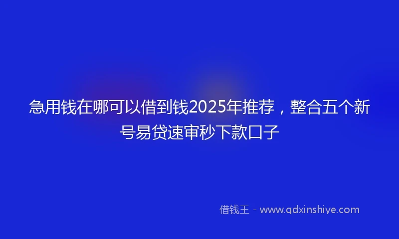 急用钱在哪可以借到钱2025年推荐，整合五个新号易贷速审秒下款口子