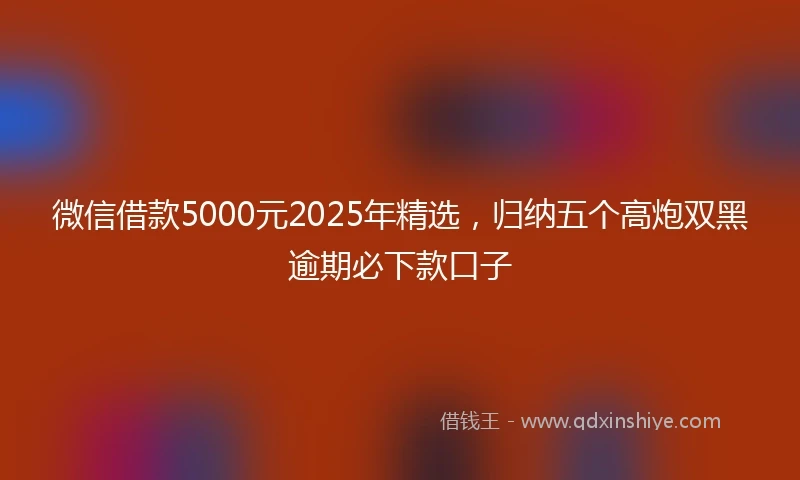 微信借款5000元2025年精选，归纳五个高炮双黑逾期必下款口子