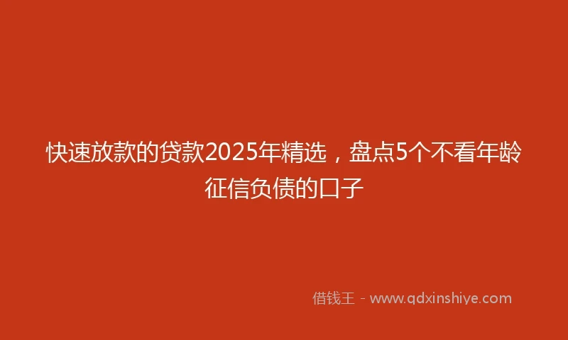快速放款的贷款2025年精选，盘点5个不看年龄征信负债的口子