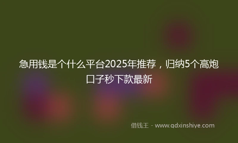 急用钱是个什么平台2025年推荐，归纳5个高炮口子秒下款最新