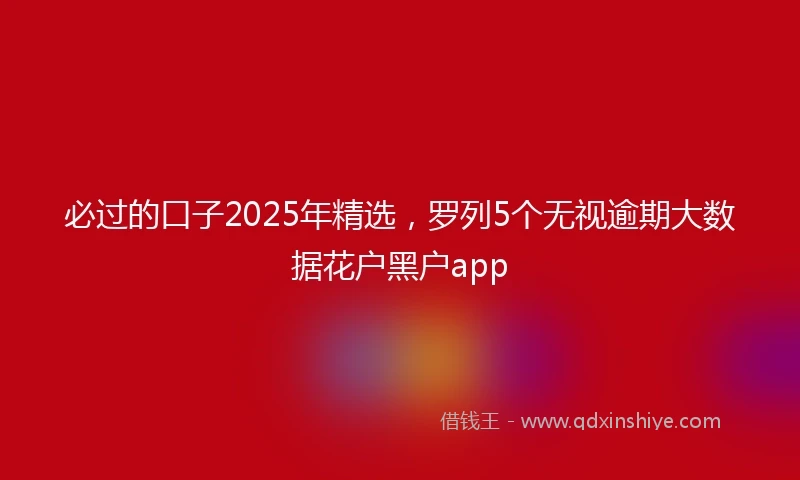 必过的口子2025年精选，罗列5个无视逾期大数据花户黑户app