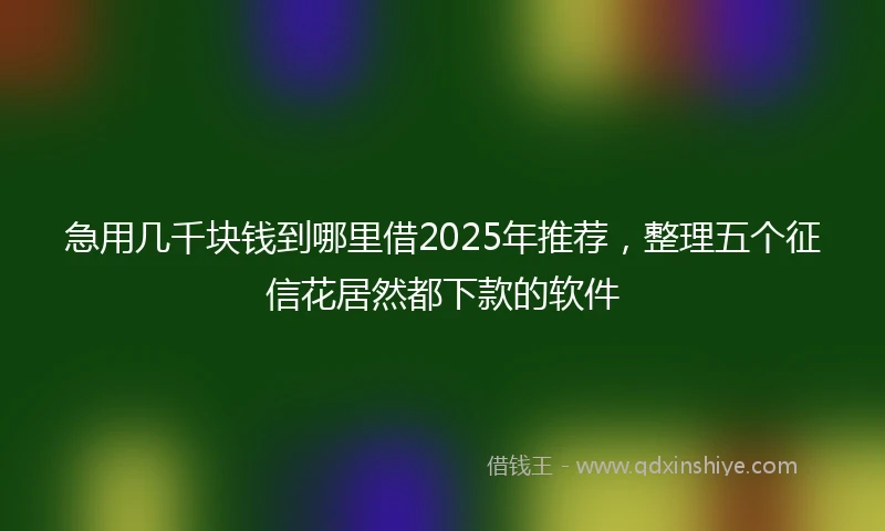 急用几千块钱到哪里借2025年推荐，整理五个征信花居然都下款的软件
