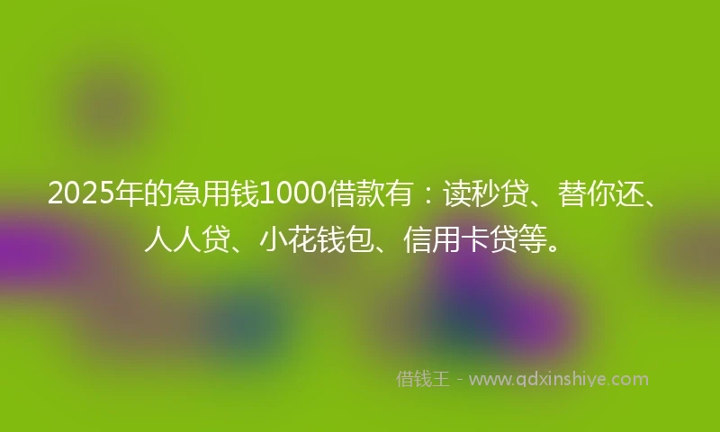 2025年的急用钱1000借款有：读秒贷、替你还、人人贷、小花钱包、信用卡贷等。