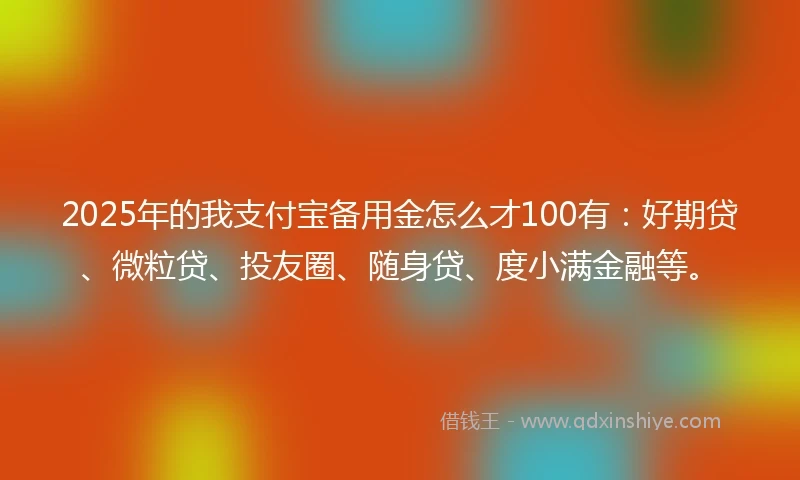 2025年的我支付宝备用金怎么才100有：好期贷、微粒贷、投友圈、随身贷、度小满金融等。