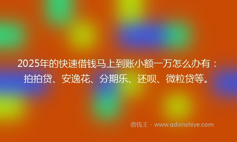 2025年的快速借钱马上到账小额一万怎么办有：拍拍贷、安逸花、分期乐、还呗、微粒贷等。