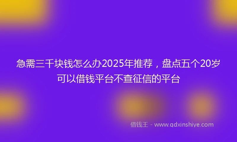 急需三千块钱怎么办2025年推荐，盘点五个20岁可以借钱平台不查征信的平台