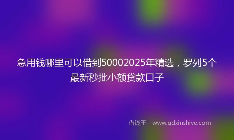 急用钱哪里可以借到50002025年精选，罗列5个最新秒批小额贷款口子