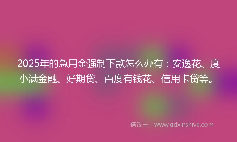 2025年的急用金强制下款怎么办有：安逸花、度小满金融、好期贷、百度有钱花、信用卡贷等。