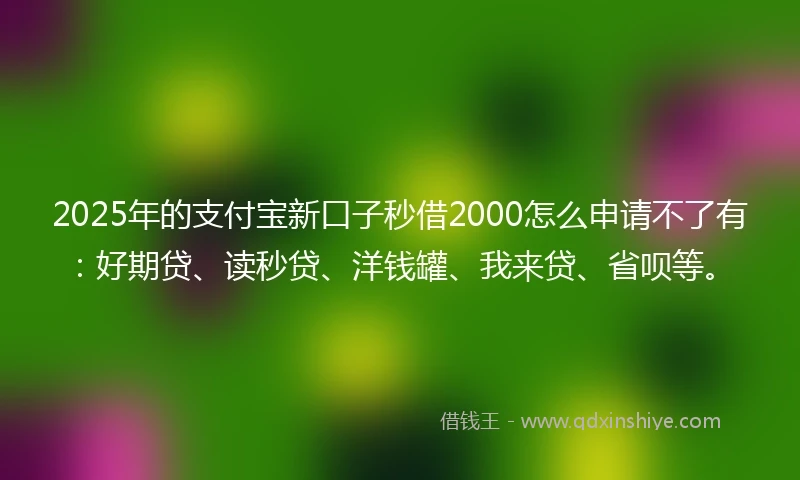 2025年的支付宝新口子秒借2000怎么申请不了有：好期贷、读秒贷、洋钱罐、我来贷、省呗等。