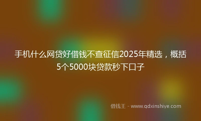 手机什么网贷好借钱不查征信2025年精选，概括5个5000块贷款秒下口子