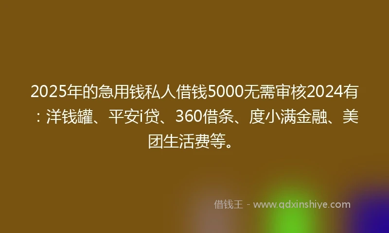 2025年的急用钱私人借钱5000无需审核2024有：洋钱罐、平安i贷、360借条、度小满金融、美团生活费等。