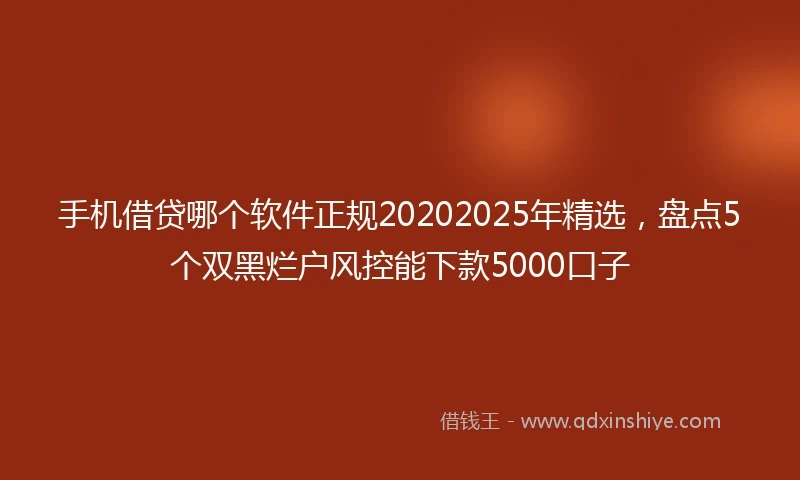 手机借贷哪个软件正规20202025年精选，盘点5个双黑烂户风控能下款5000口子