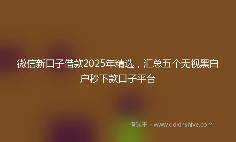 微信新口子借款2025年精选，汇总五个无视黑白户秒下款口子平台